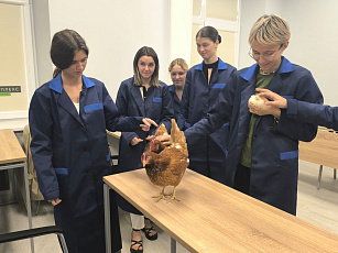 Перья расправлены: птицеводы получили крылья мастерства